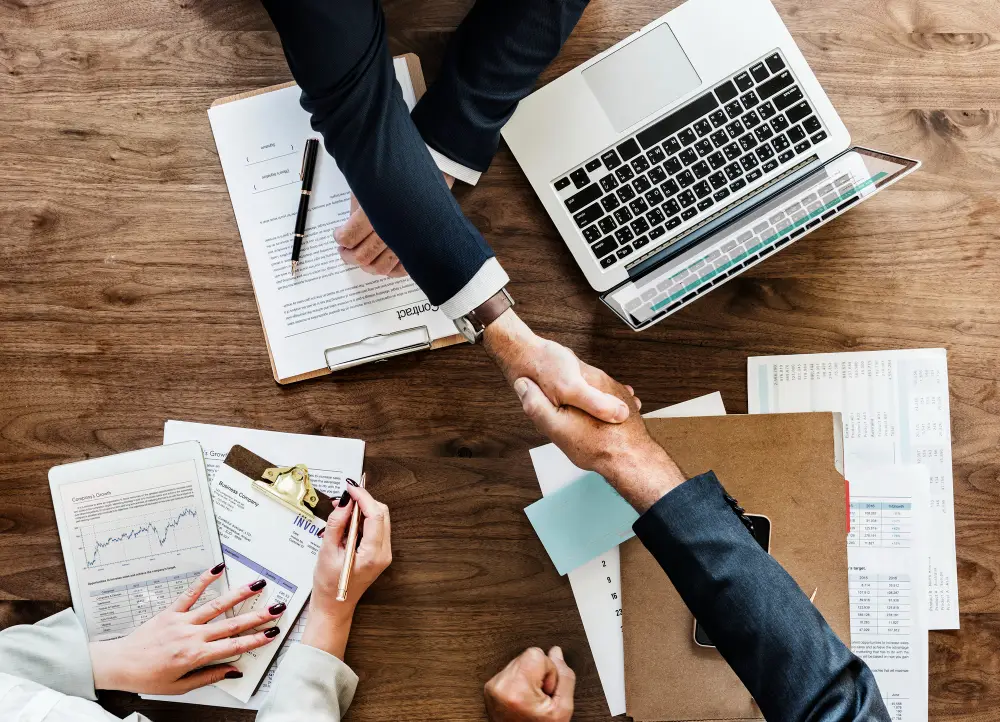 Integro Consulting - Konsultant